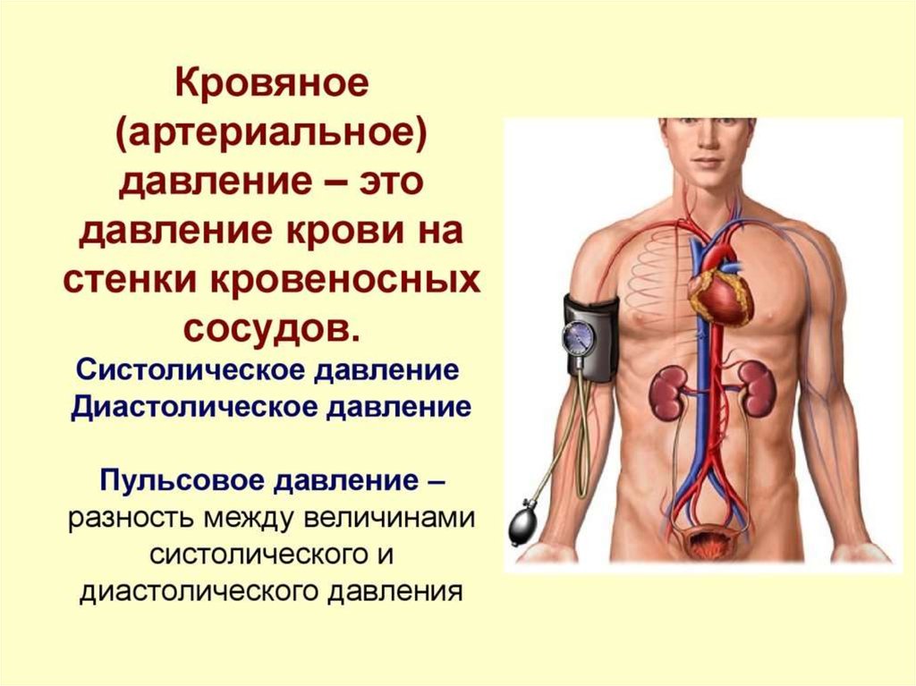 Медицинский центр клиника на садовом москва зубовский бульвар д 13 отзывы