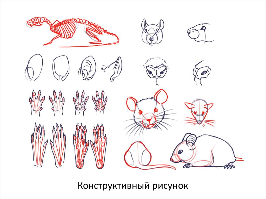 Рисунки карандашом бабочки с цветком Рисунки карандашом бабочки с цветком