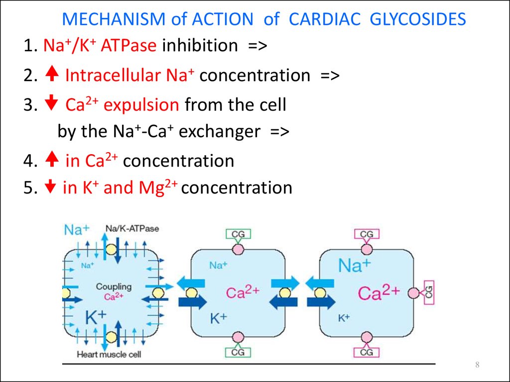 maxolon mechanism of action