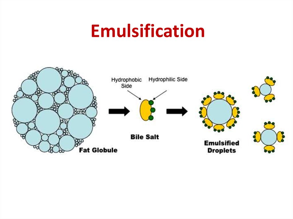 emulsion surface chemistry