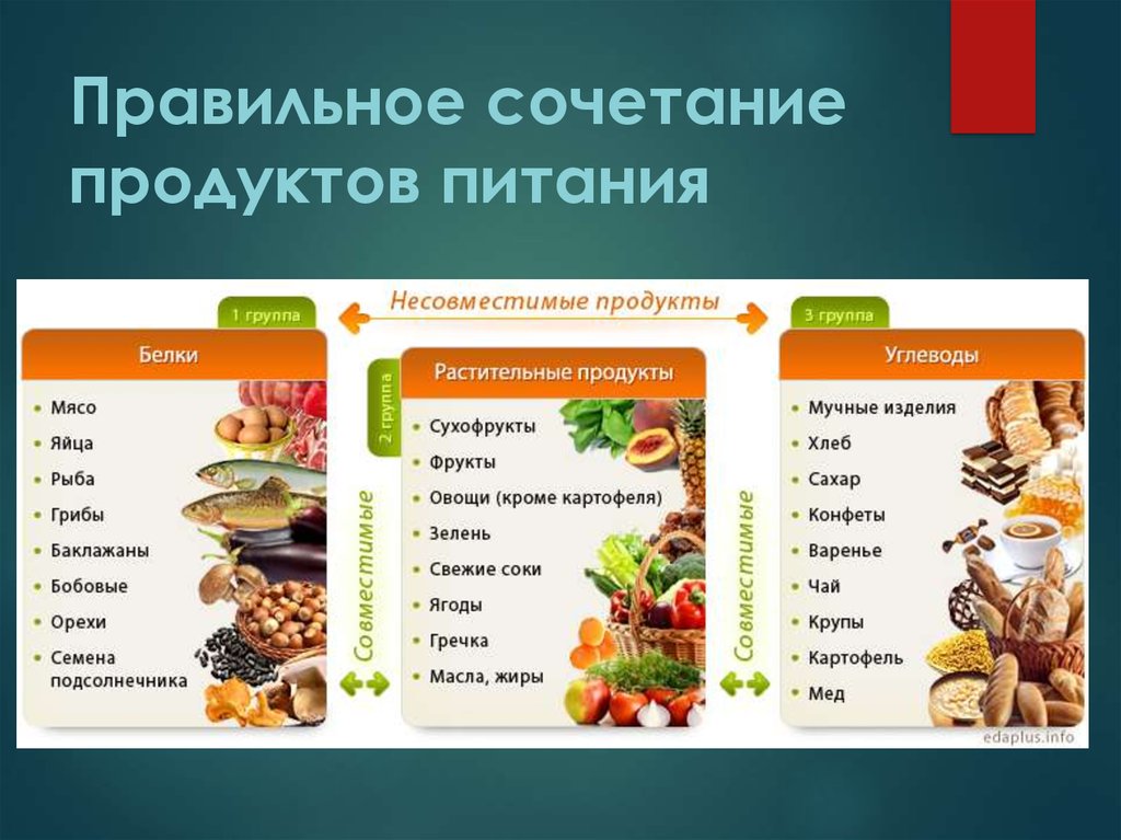 Сочетание Продуктов При Правильном Питании