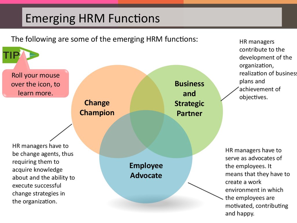 what is human resource management
