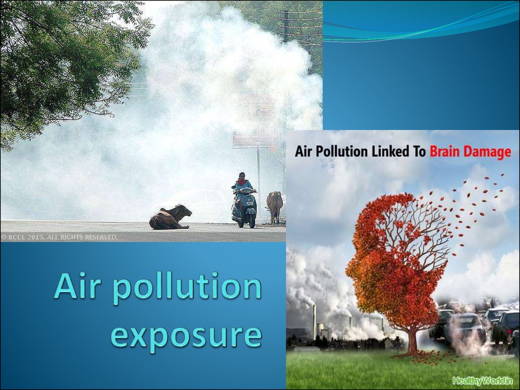 Air pollution exposure