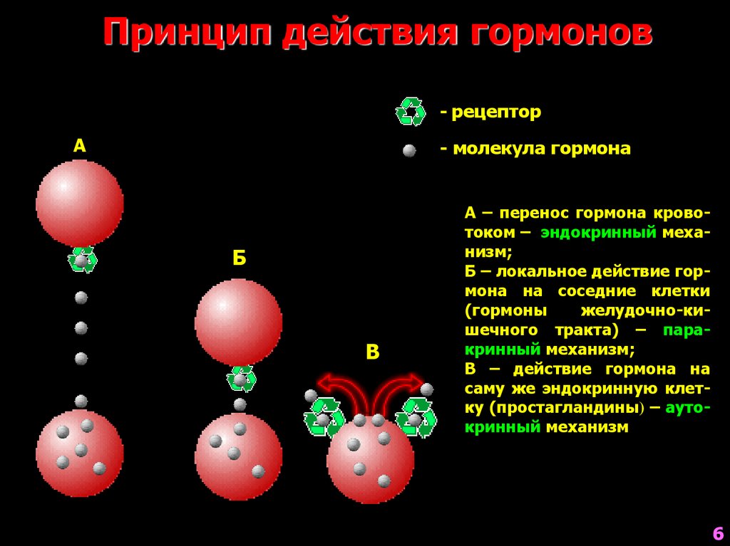 pdf information