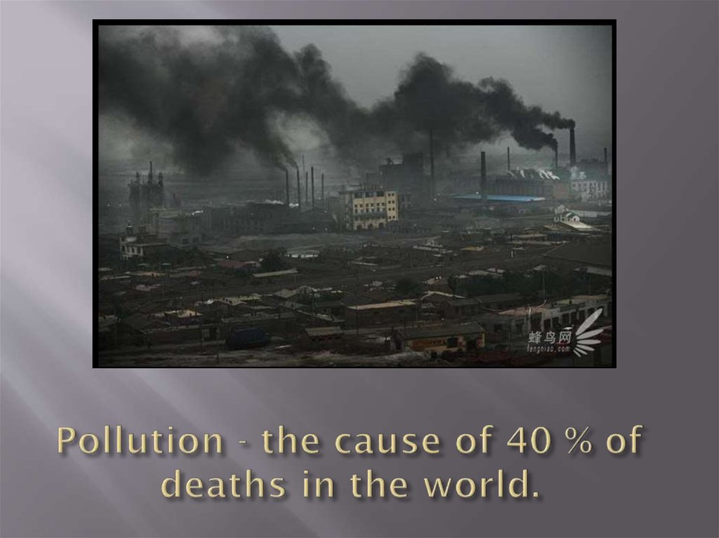 Pollution - the cause of 40 % of deaths in the world.