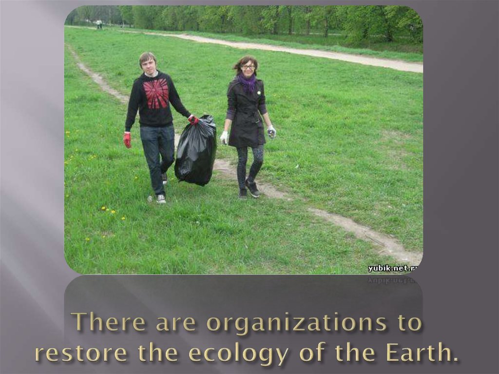 There are organizations to restore the ecology of the Earth.