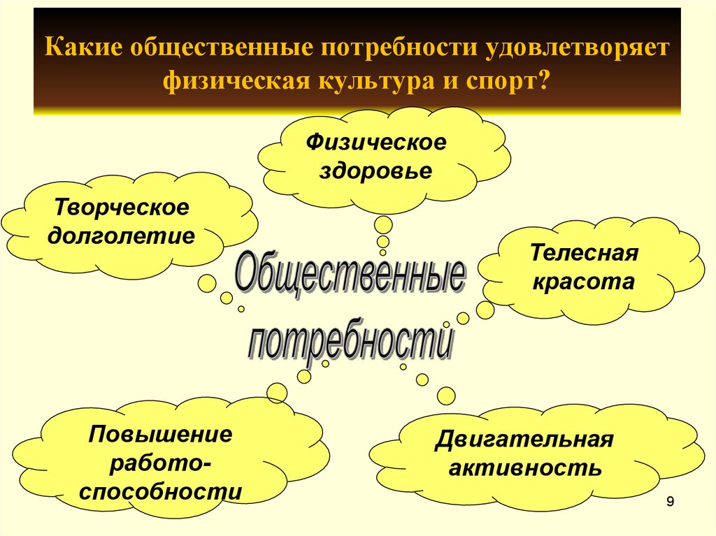 pdf учебная практика по фармакогнозии учебное пособие по специальности 060108 050400