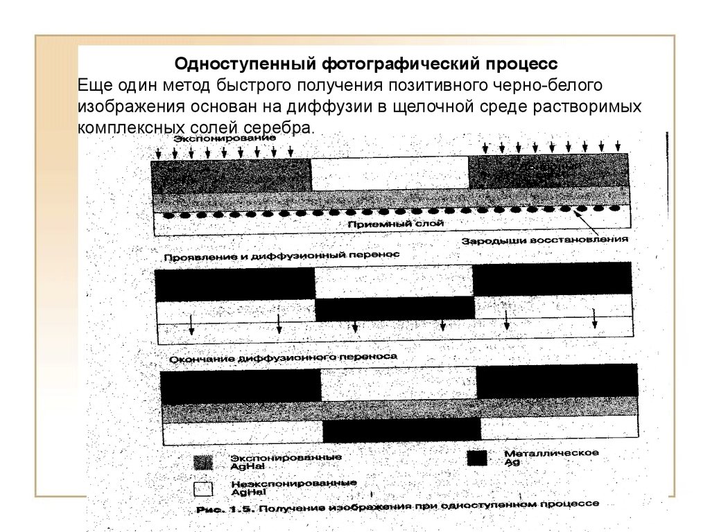 После какого процесса получения фотографий осуществляют закрепление фотопленки