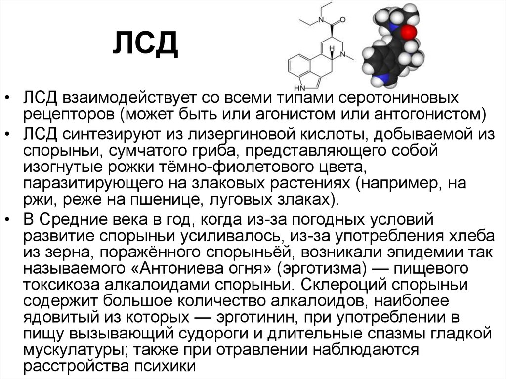 Диета Перед Лсд