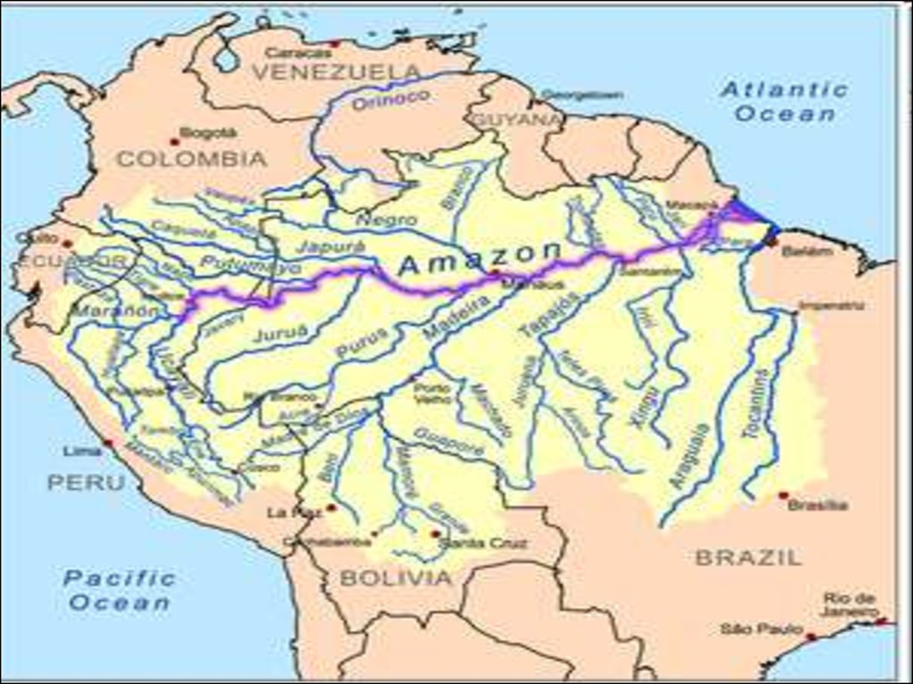 Cual es el rio mas largo del mundo