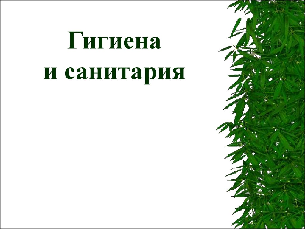 book фитнес тонкости хитрости и