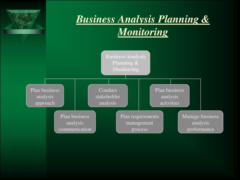 The Business Analysis Planning And Monitoring hapter 2 Online 