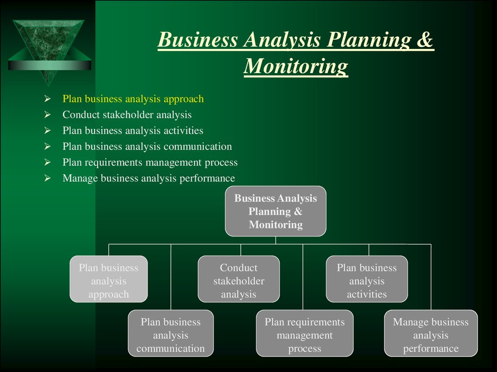 The Business Analysis Planning And Monitoring hapter 2 