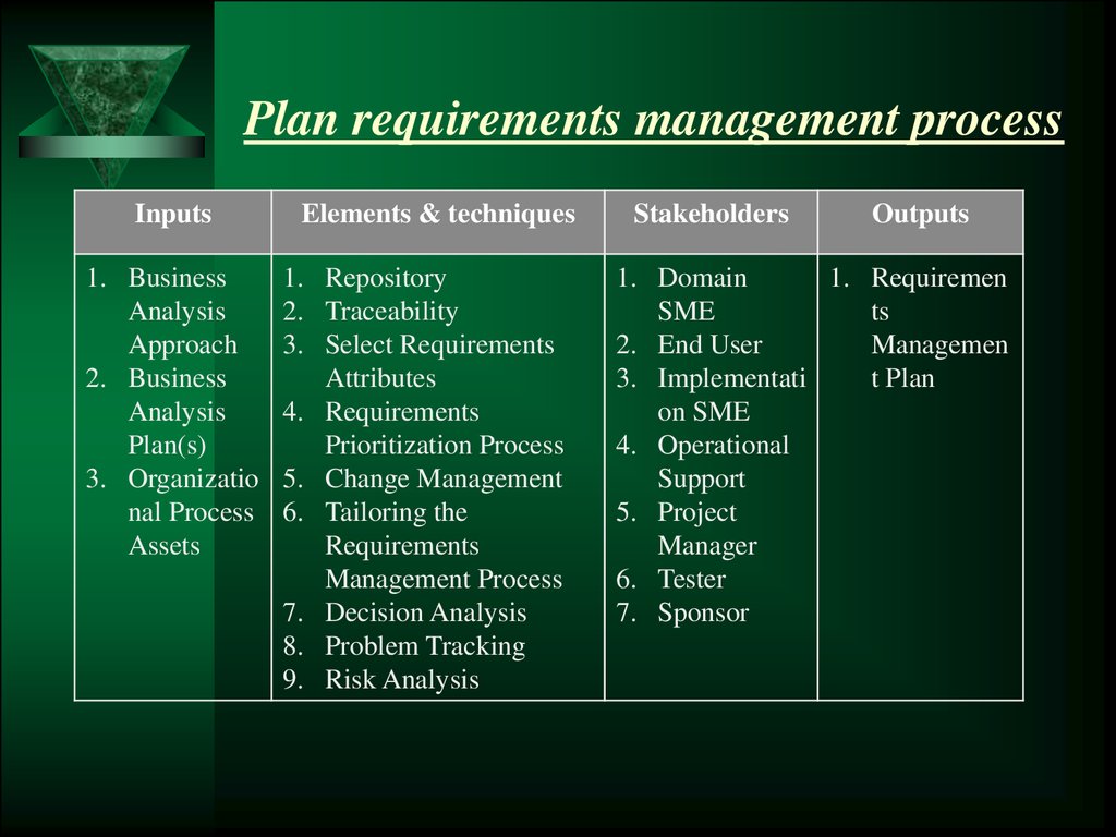 project manager requirements