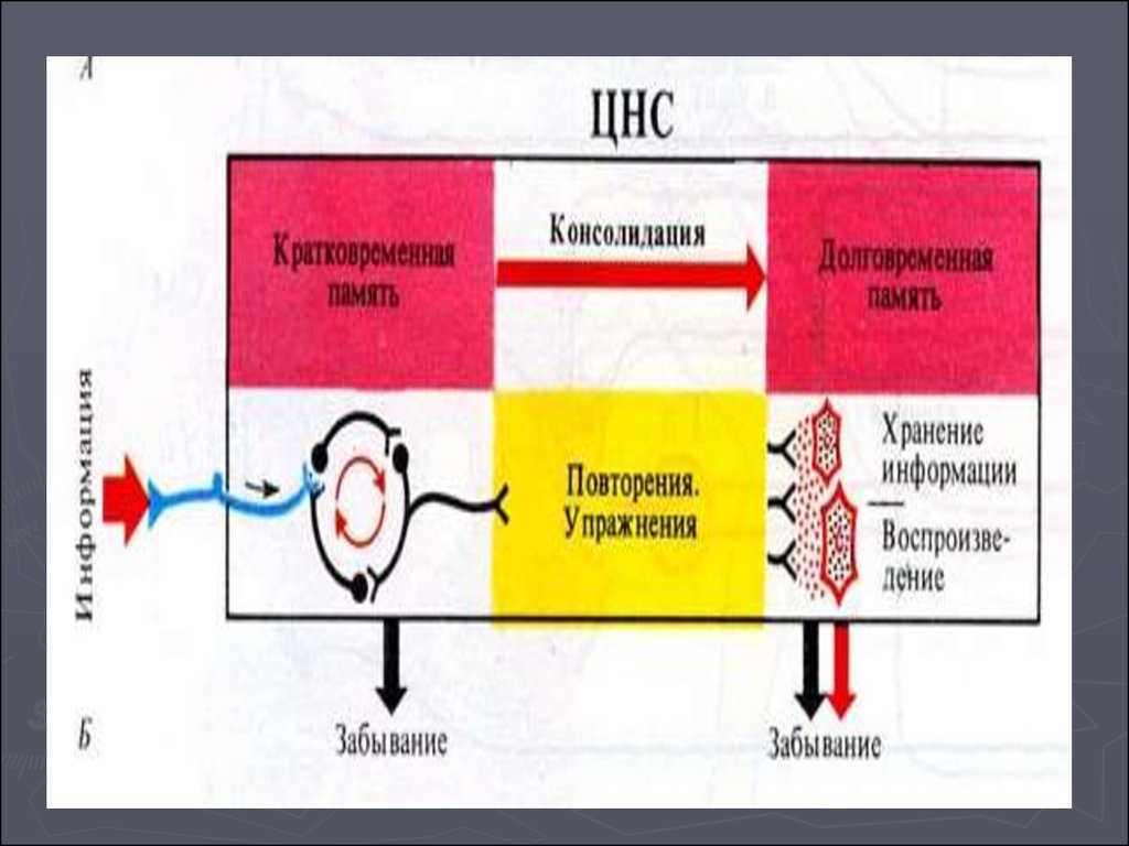 READ ОСНОВЫ ФОРМАЛЬНЫХ ЛОГИЧЕСКИХ ЯЗЫКОВ: