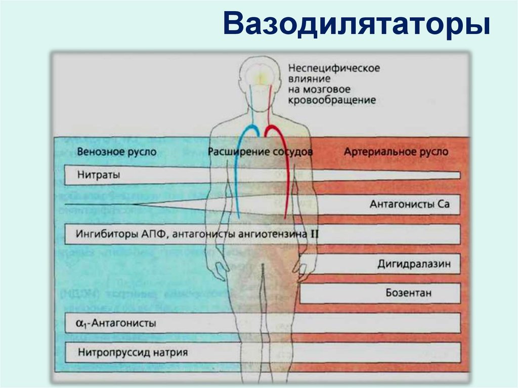 Заболевания связанные с нарушением кровообращения Заболевания связанные с нарушением кровообращения