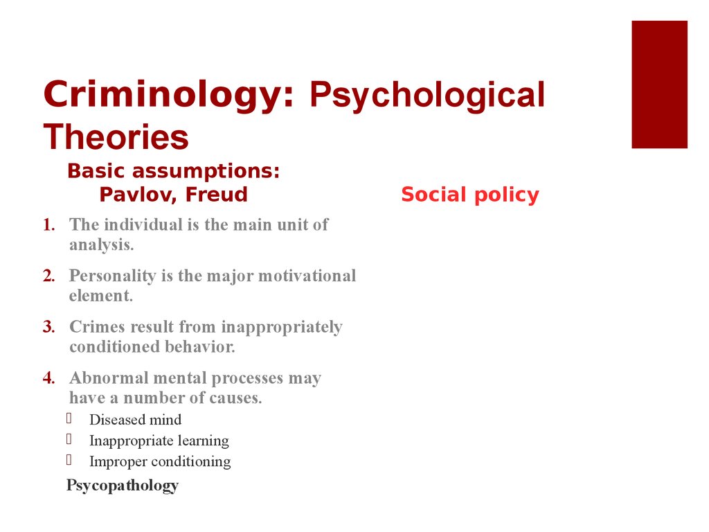 rational choice theory in criminology