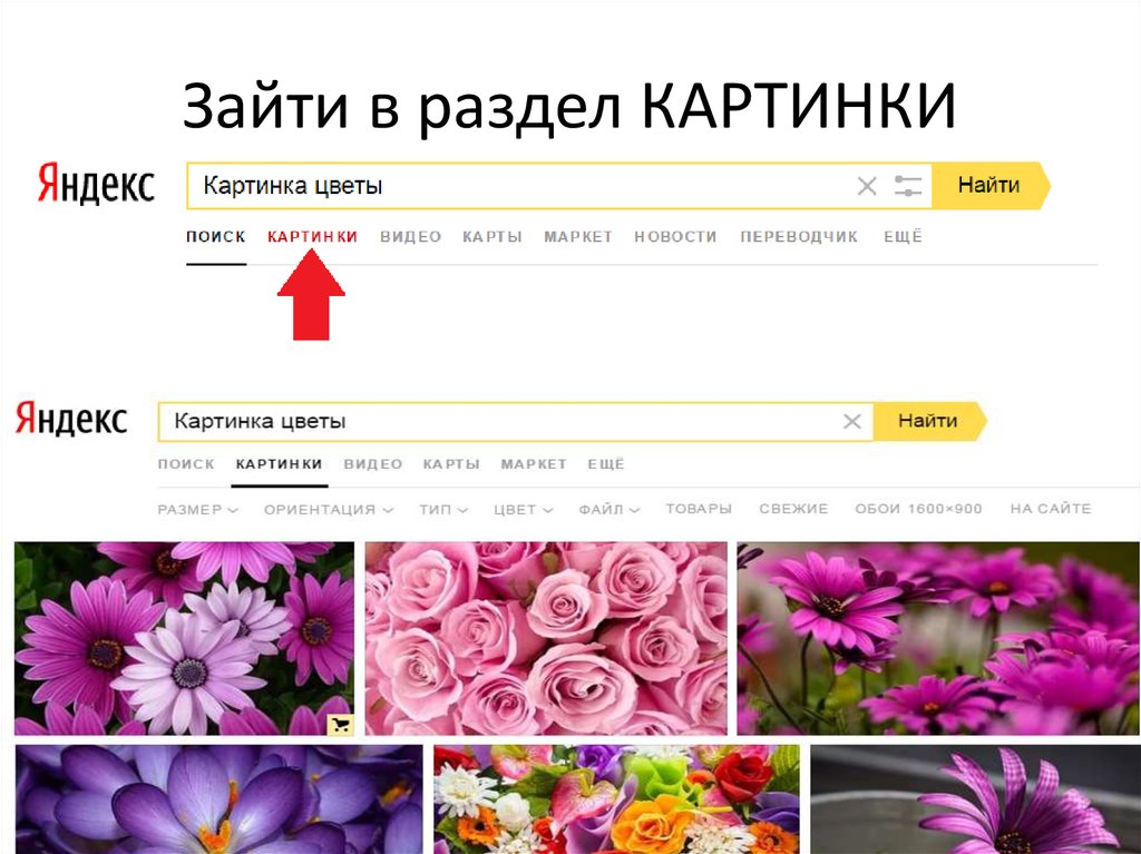Как по фото узнать что за цветок по фото онлайн