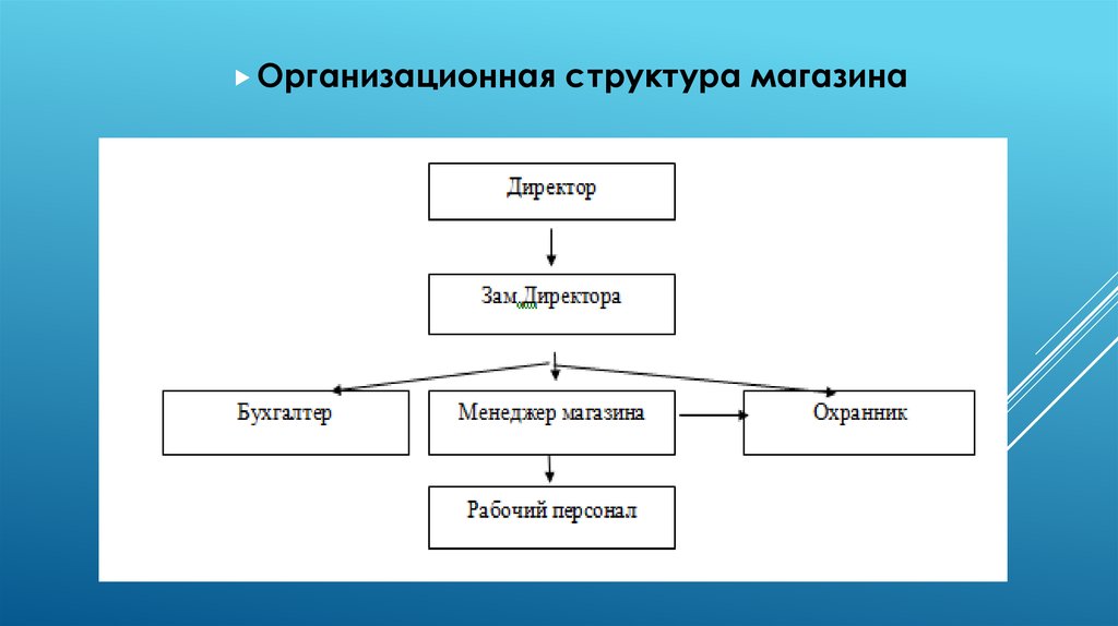 Организационная Структура Магазина Дикси