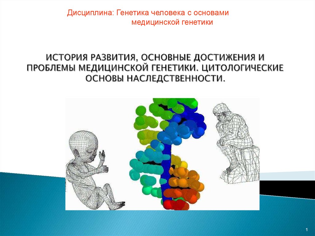 Методика и организация учебно-исследовательской и научно-исследовательской работы студентов и аспирантов на историческом факультете Яр ГУ им. П.Г. Демидова: Материалы докладов VII научно-методической конференции исторического факультета 0