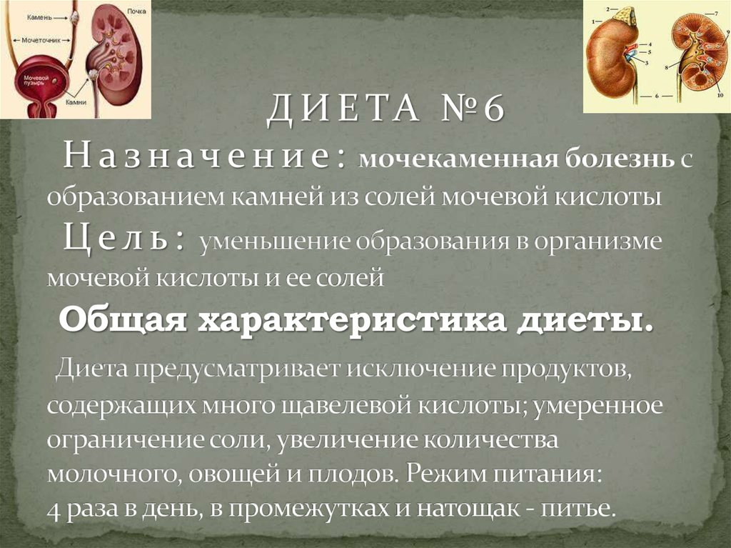 Мочевая Диета