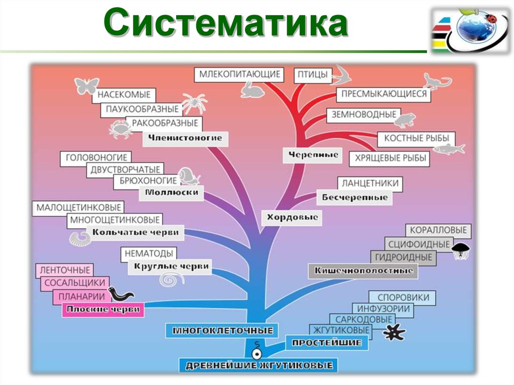 онлайн школа английского языка онлайн школа английского языка