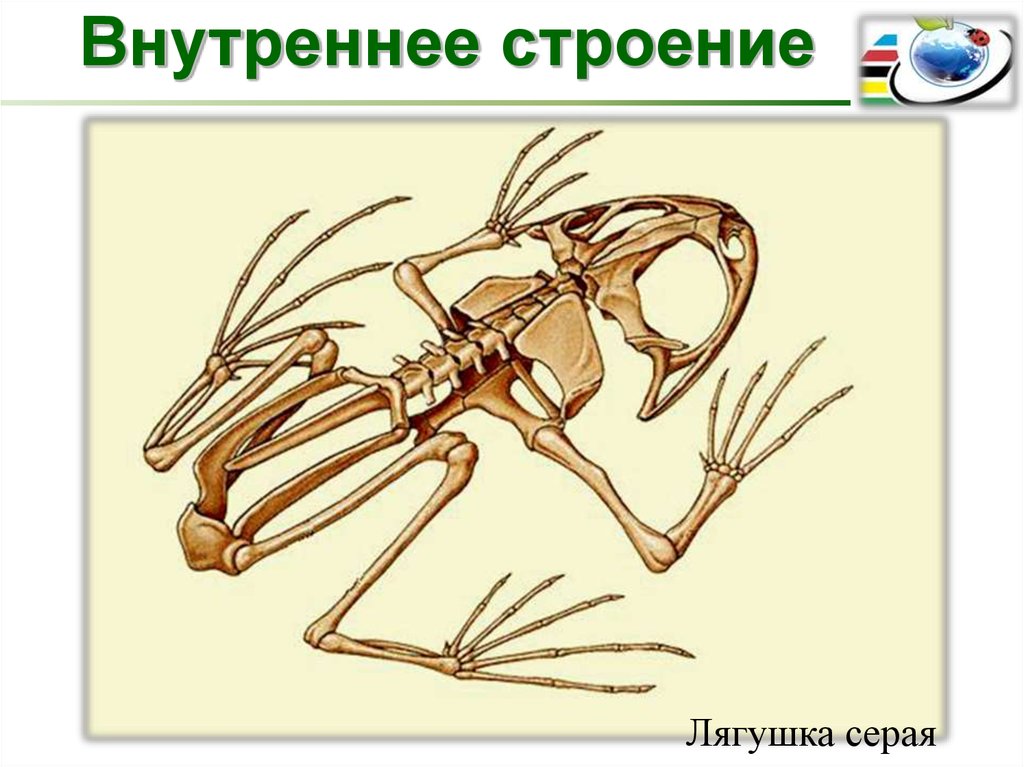 школа с углубленным изучением английского языка школа с углубленным изучением английского языка