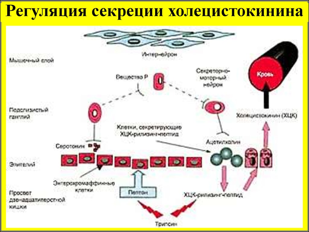 nilpotent lie groups structure