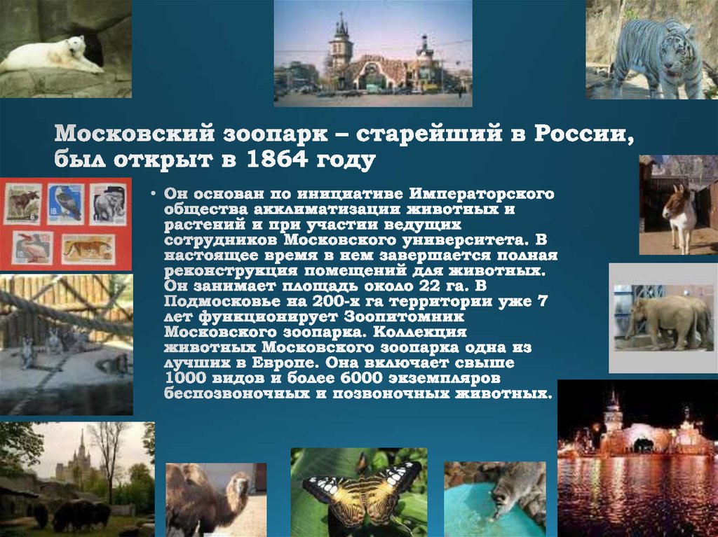 Московский зоопарк – старейший в России, был открыт в 1864 году
