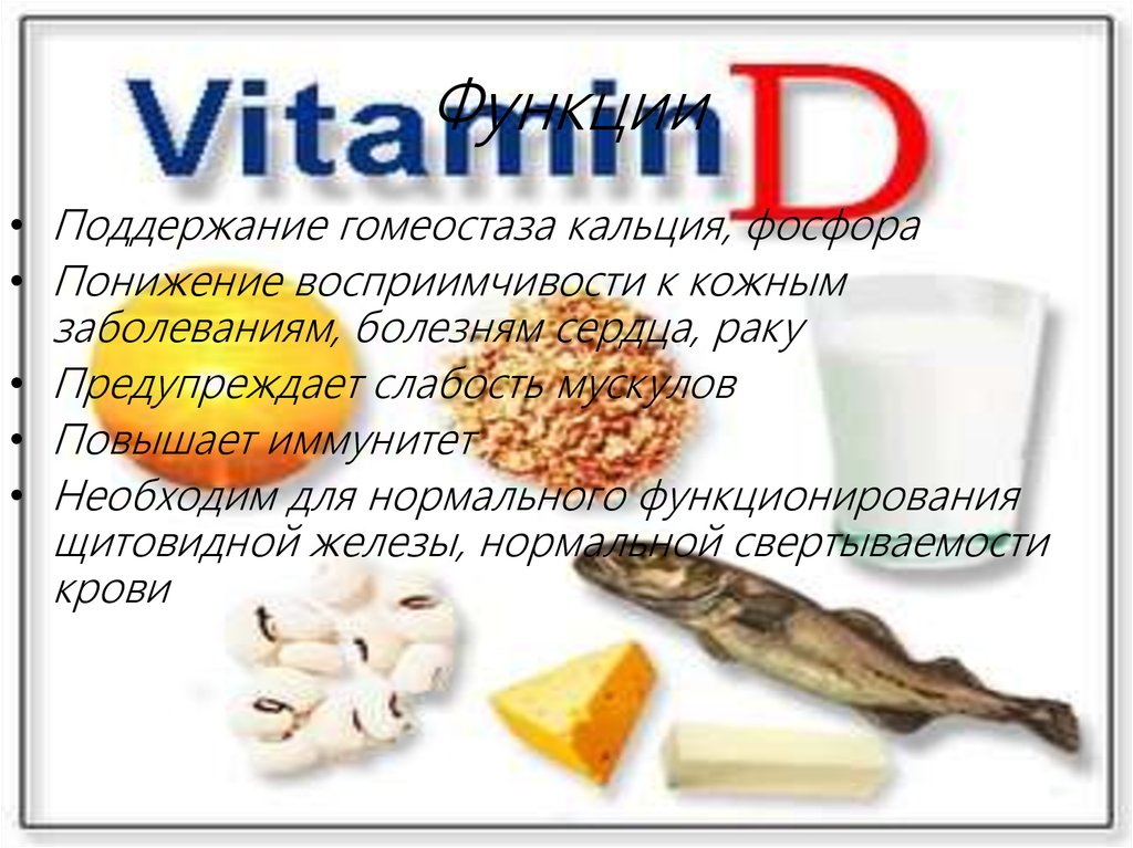 Жир и мышцы в теле человека Жир и мышцы в теле человека