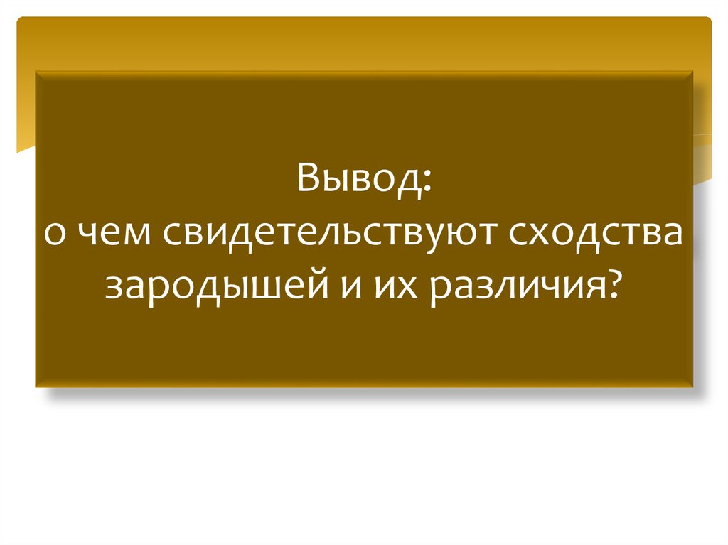 Laboratornaya Rabota Viyavlenie I Opisanie Priznakov Shodstva Zarodishej Chelov