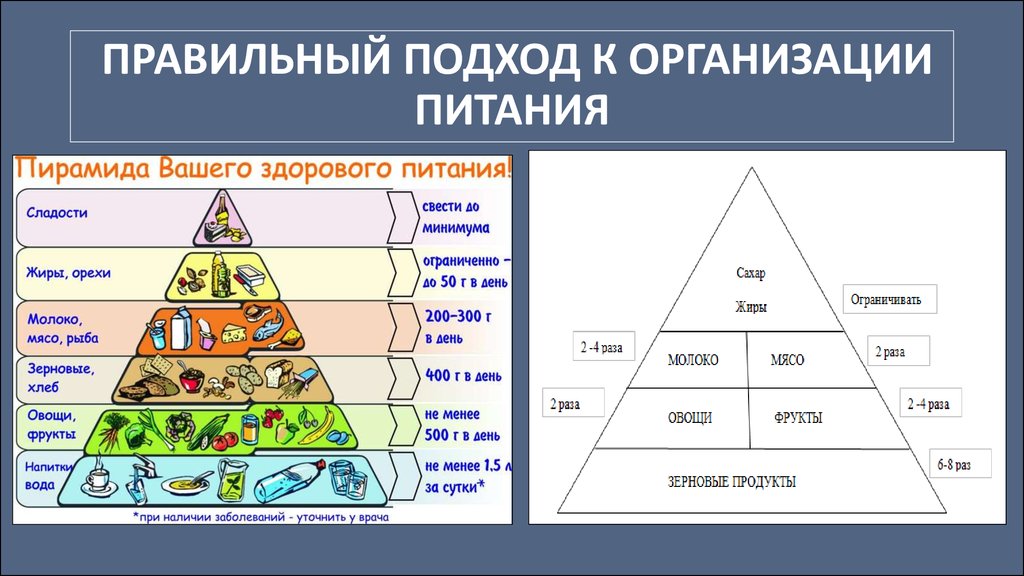 Пирамида Правильного Питания