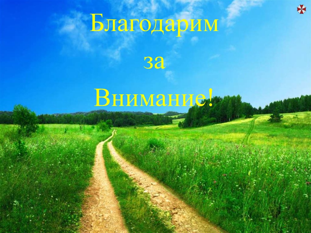 Холерик – характеристика