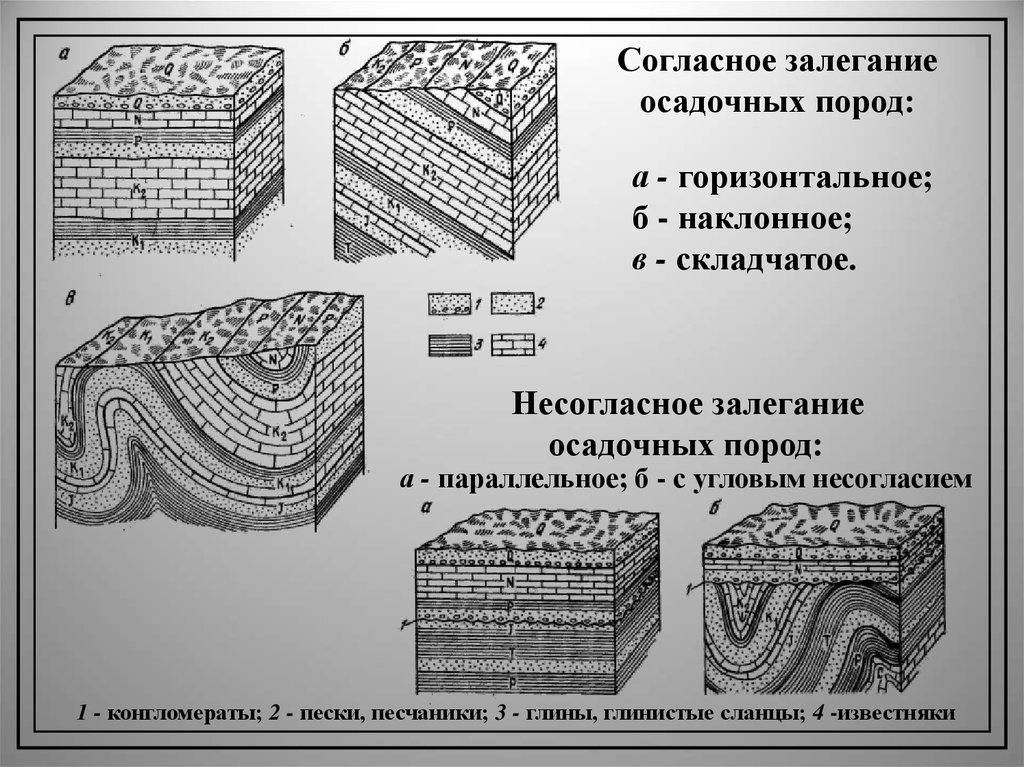 Схема осадочных пород