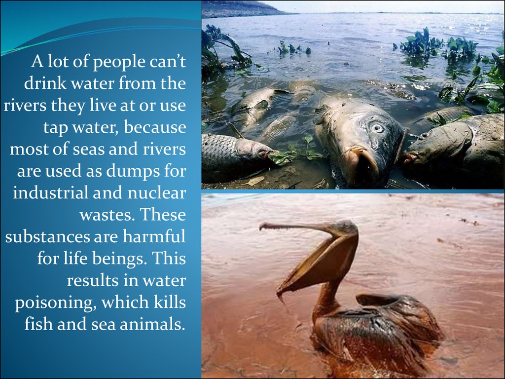 water-pollution