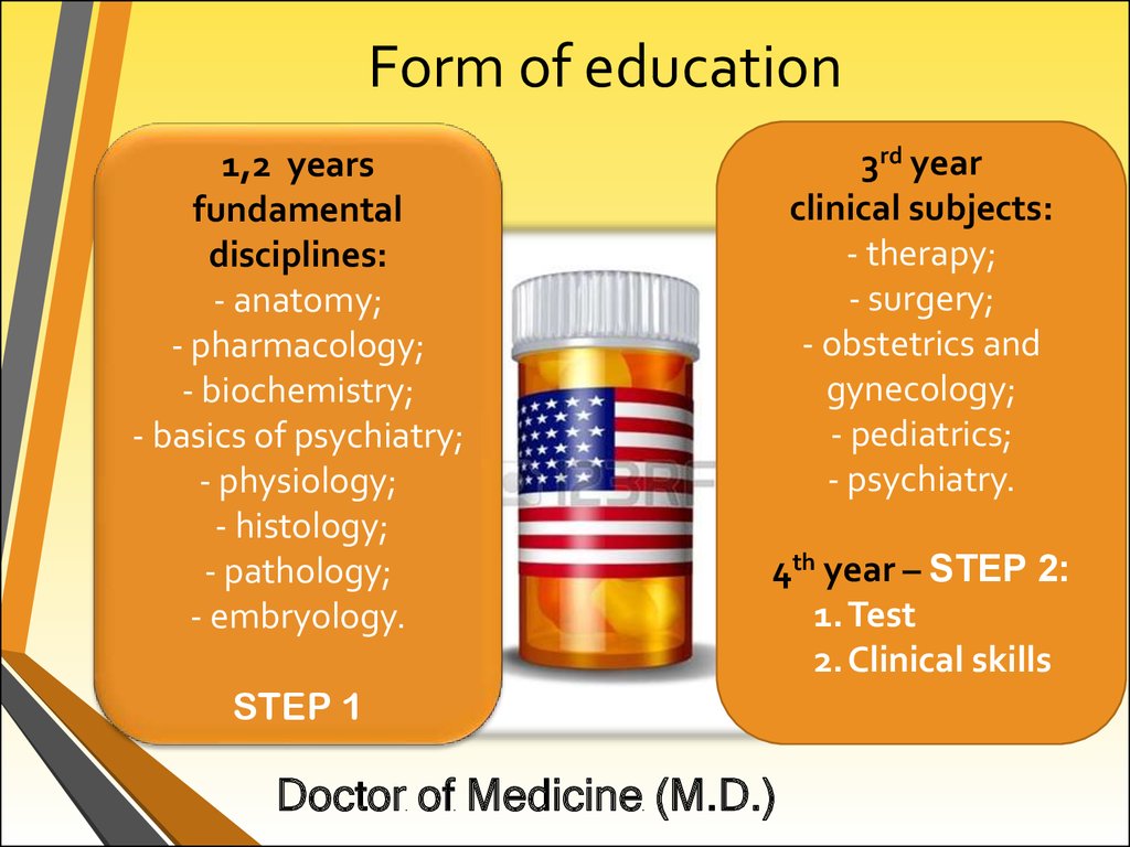 Essay education system in uk