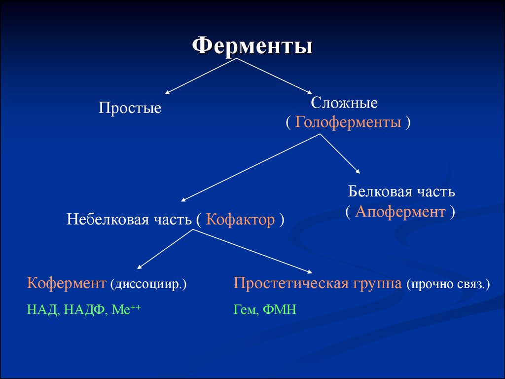 Классификация ферментов картинки