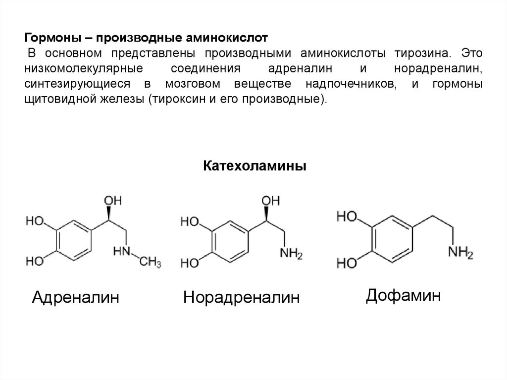 Адреналин и норадреналин презентация