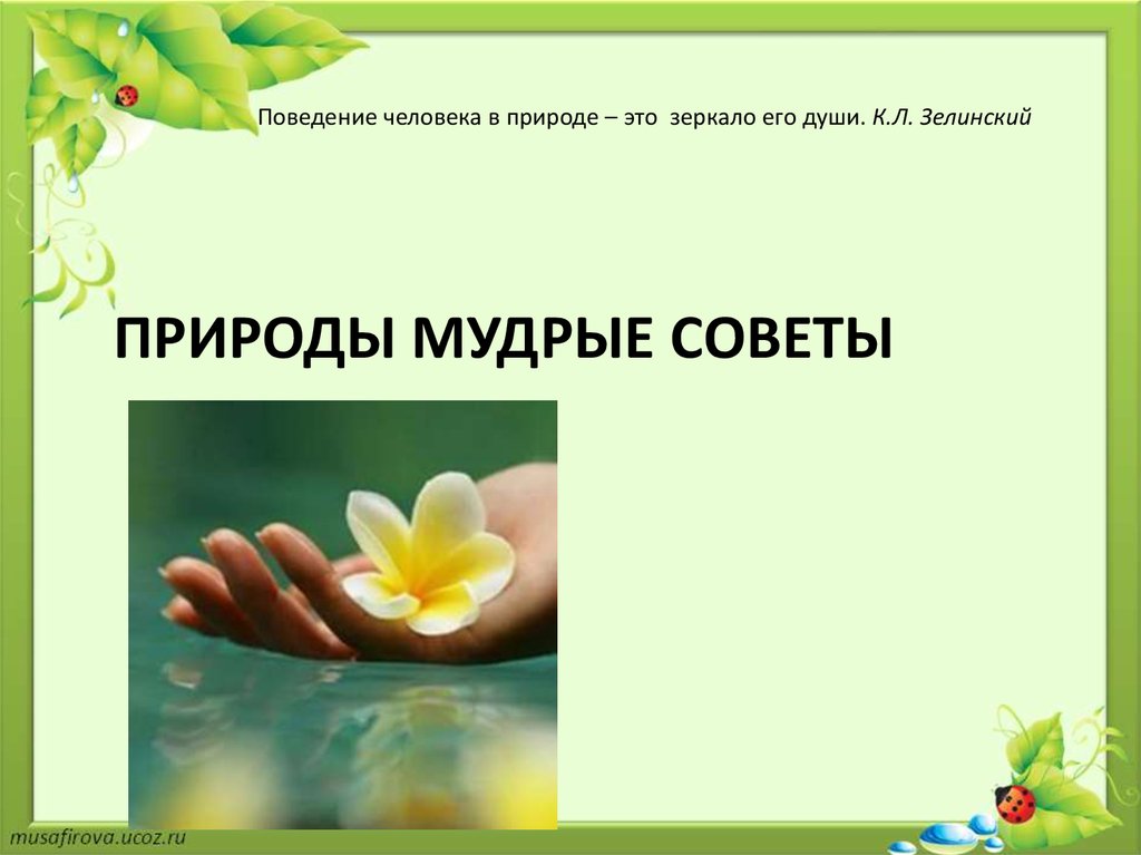 Природы мудрые советы сценарий Природы мудрые советы сценарий