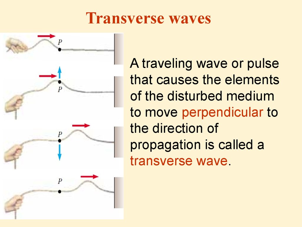 transverse-waves-longitudinal-waves-energy-and-radiation-pressure