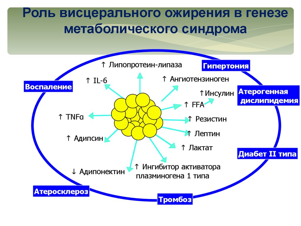 Гастроэзофагеальный рефлюкс (ГЭРБ) - презентация онлайн