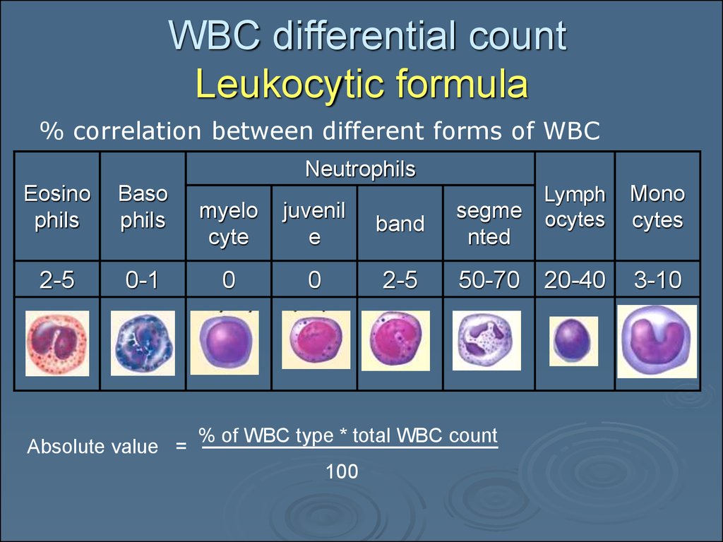 how-dangerous-is-a-high-white-blood-cell-count