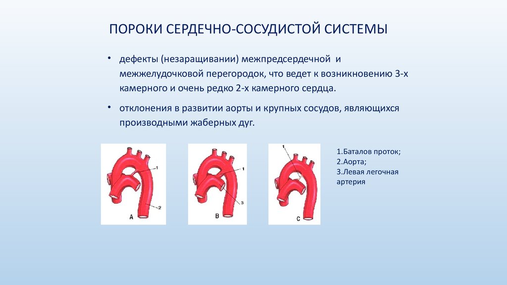 3 стадия цирроза признаки