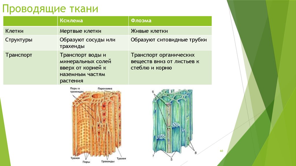 Открытая проводящая часть — это… определение примеры особенности