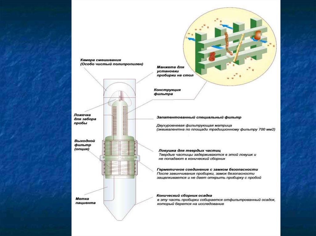 ebook hückel molecular