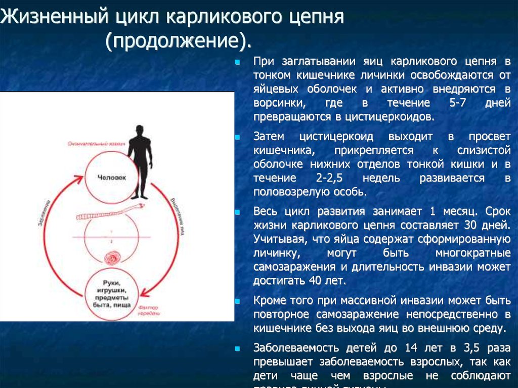 pdf программное и лингвистическое обеспечение персональных