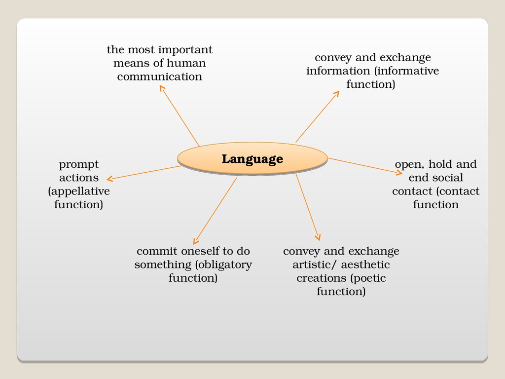 General Information On The Function And Importance