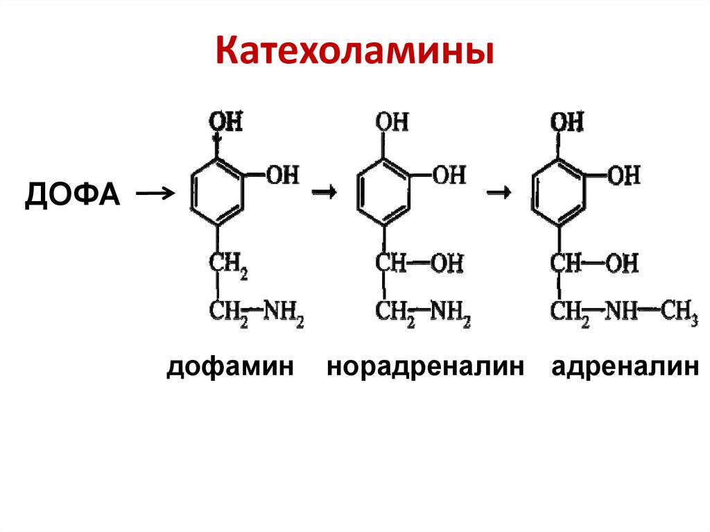 Картинки адреналин и норадреналин