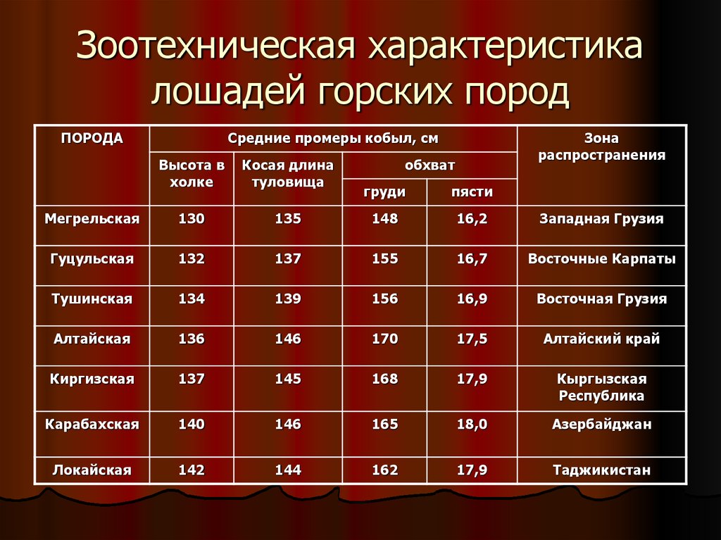 Порно Рассказ 1 10 Лошадиной Силы