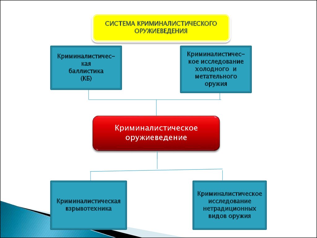 Схема система криминалистического оружиеведения